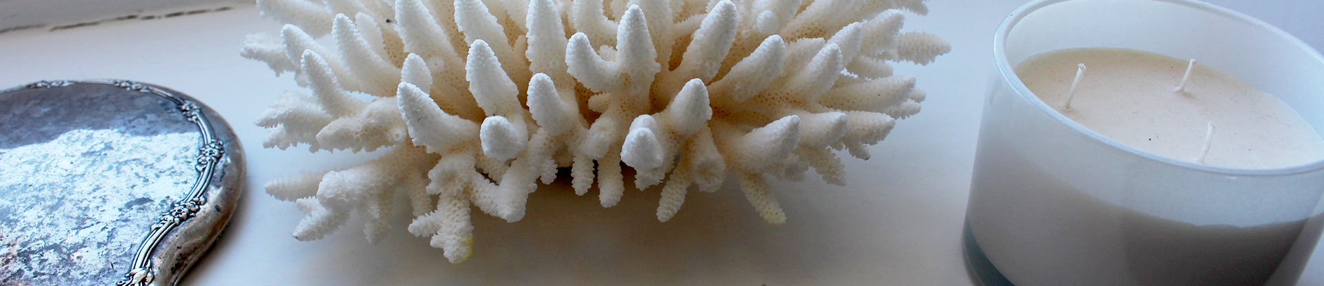 A candle and dried coral on a table